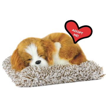 Perfect Petzzz Mini Cavalier King Charles, Stuffed Animals for Girls and Boys, Dog Toys for Kids and Elderly, Battery-Operated Live Pet Toys