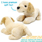 TigerHart Lorrie The Yellow Labrador - 12 Inch Stuffed Animal Plush