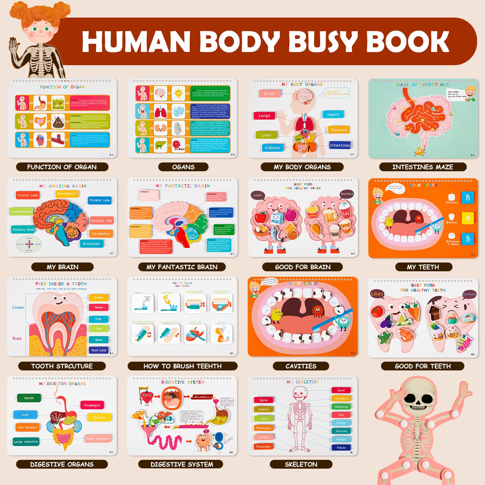 Freebear Montessori Busy Book for Kids, Human Body Anatomy Book for Toddlers, Preshool Kindergarten Learning Activities, Autism Sensory Toys, Travel