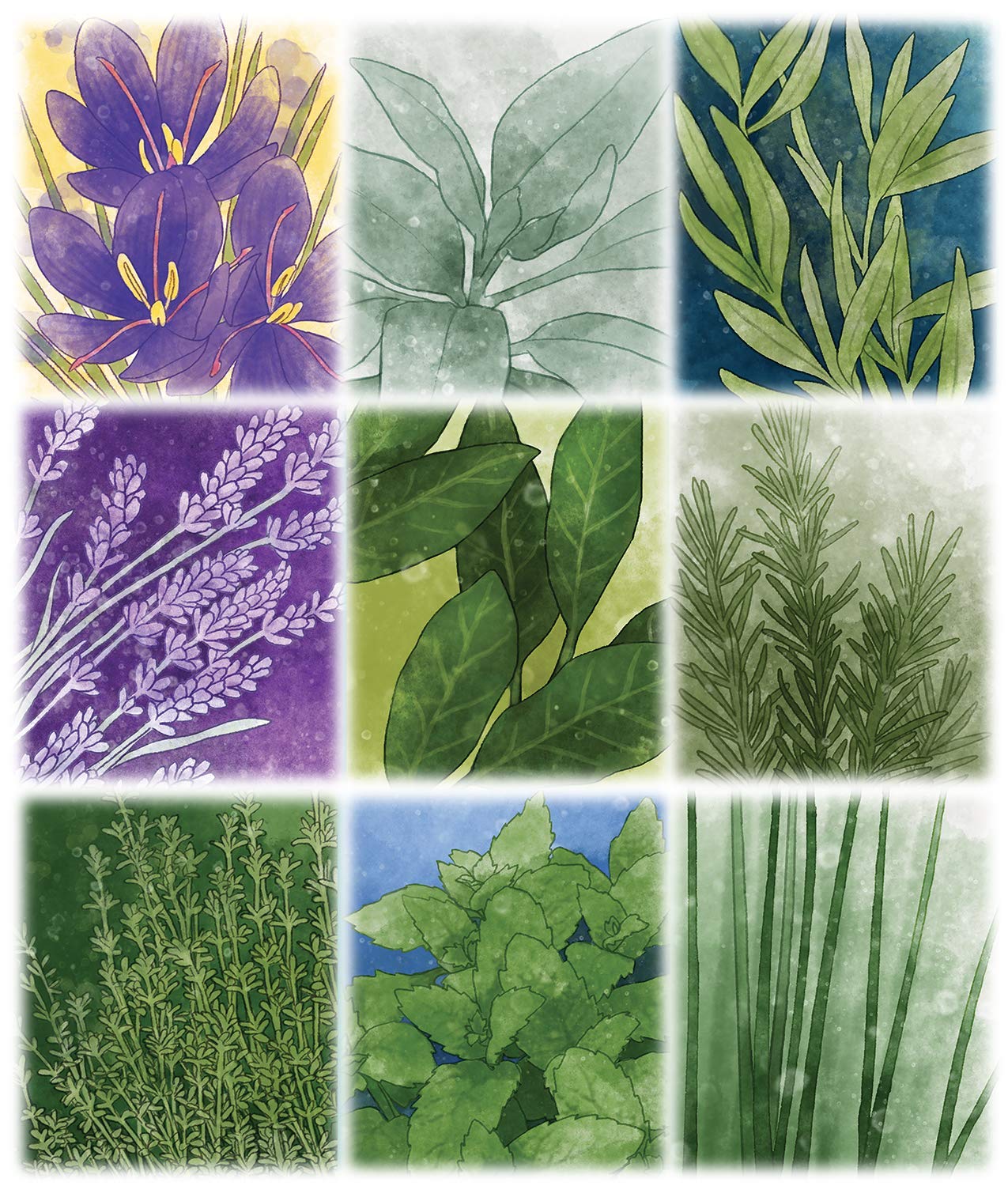 Pencil First Games Herbaceous Card Game - A Flavorful Set Collection Game of Garden Herbs and Containers by Pencil First Games for 1-4 Players