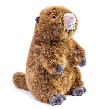 ZHONGXIN MADE Simulation Groundhog Plush Toy - Cute Real Life Greedy Groundhog Simulation Plush Toys, Lifelike Wild Animals Prairie Dog Stuffed Toys