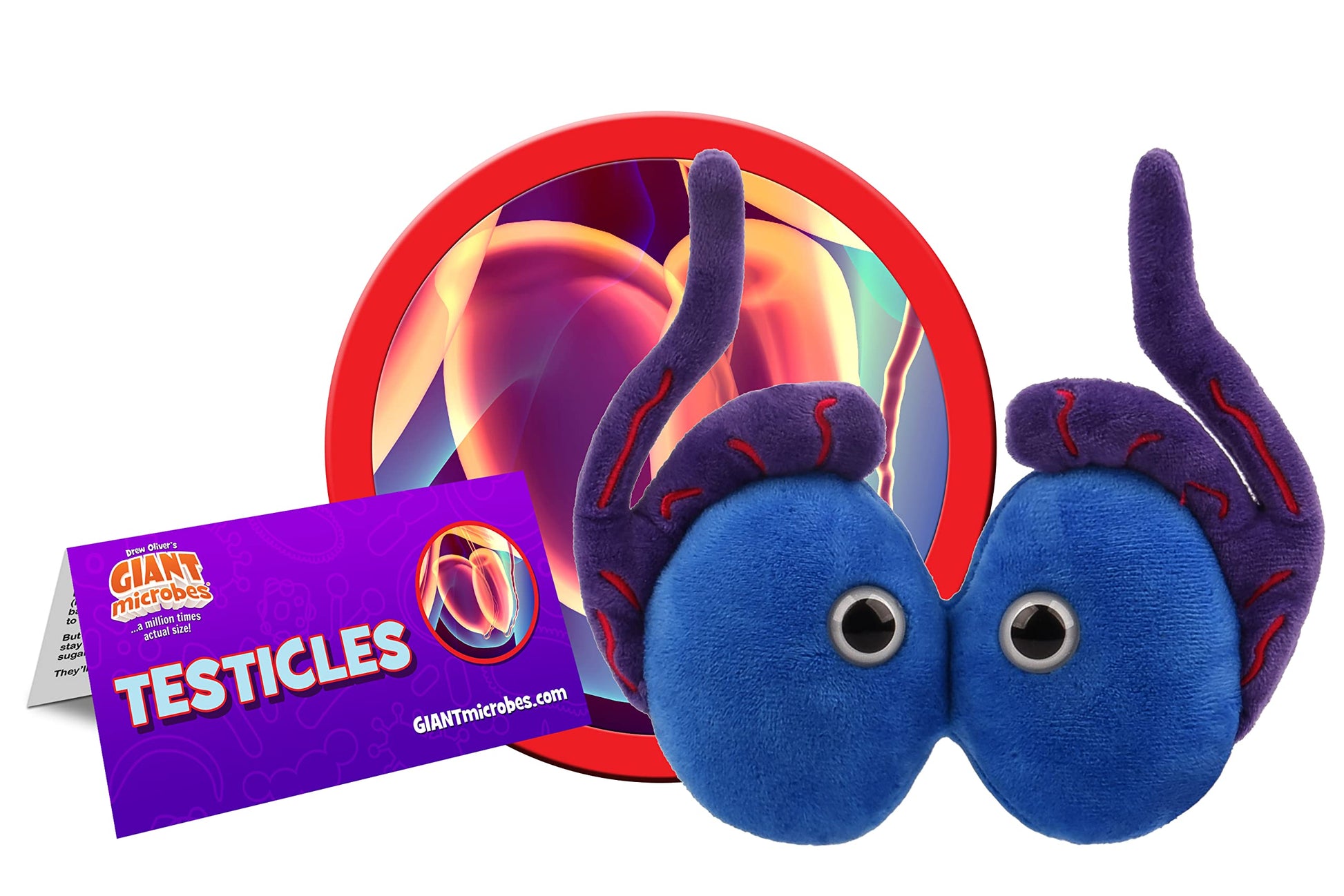 GIANT MICROBES Testicle Plushie Toy, Testicles Gift, Testicular Cancer Awareness, Vasectomy Gifts, Urology Gifts, Urology Nursing, Testicle Pillows