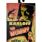 NECA - Universal Monsters - 7” Scale Action Figure - Ultimate Mummy Ardeth Bay