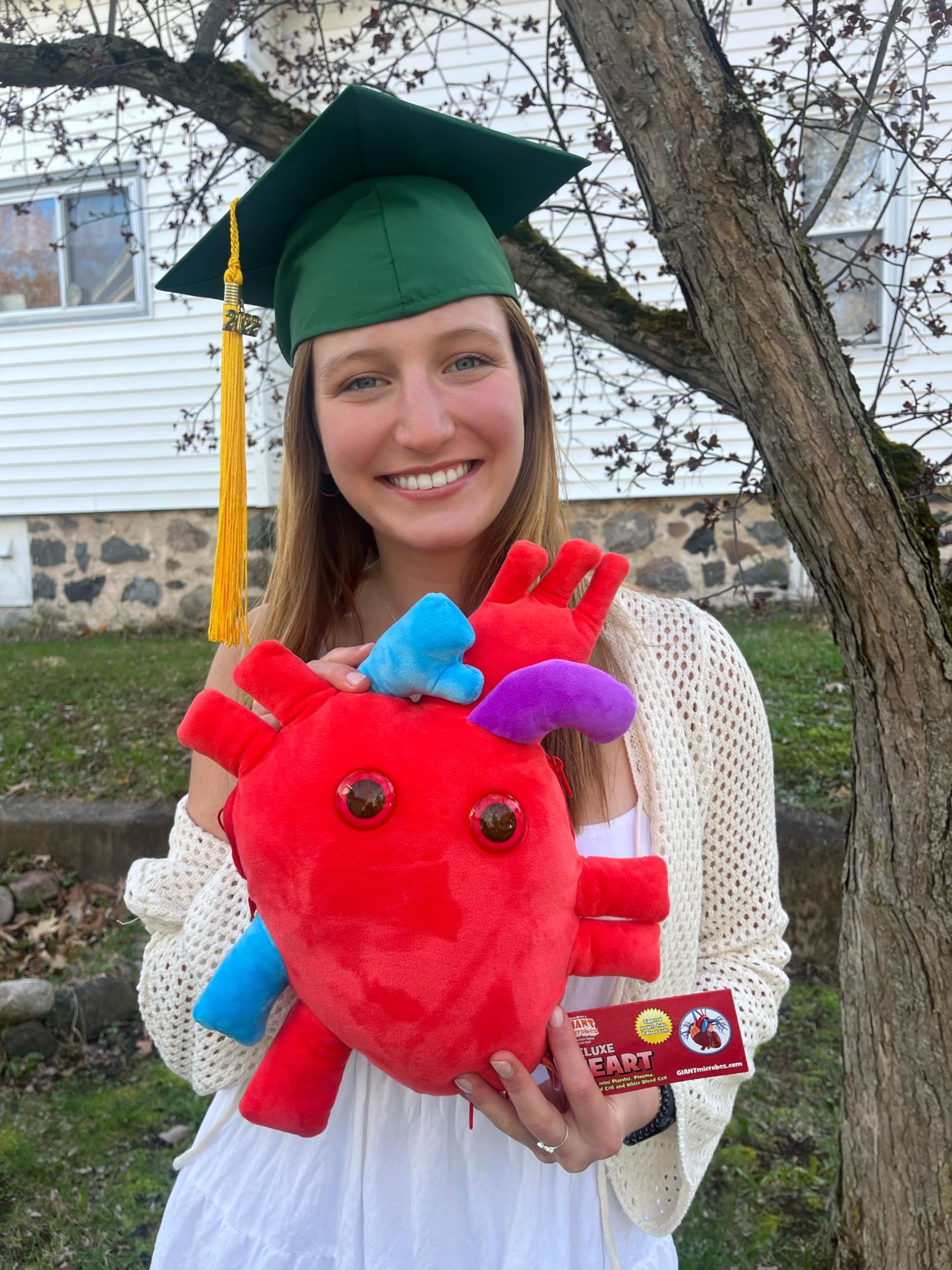 GIANT MICROBES Deluxe 15” Heart Plush, Biology Stuffed Animal, Organ Transplant Gifts, Anatomical Heart, Cardiac Nurse Gift, Cardiology Gift, Surgery
