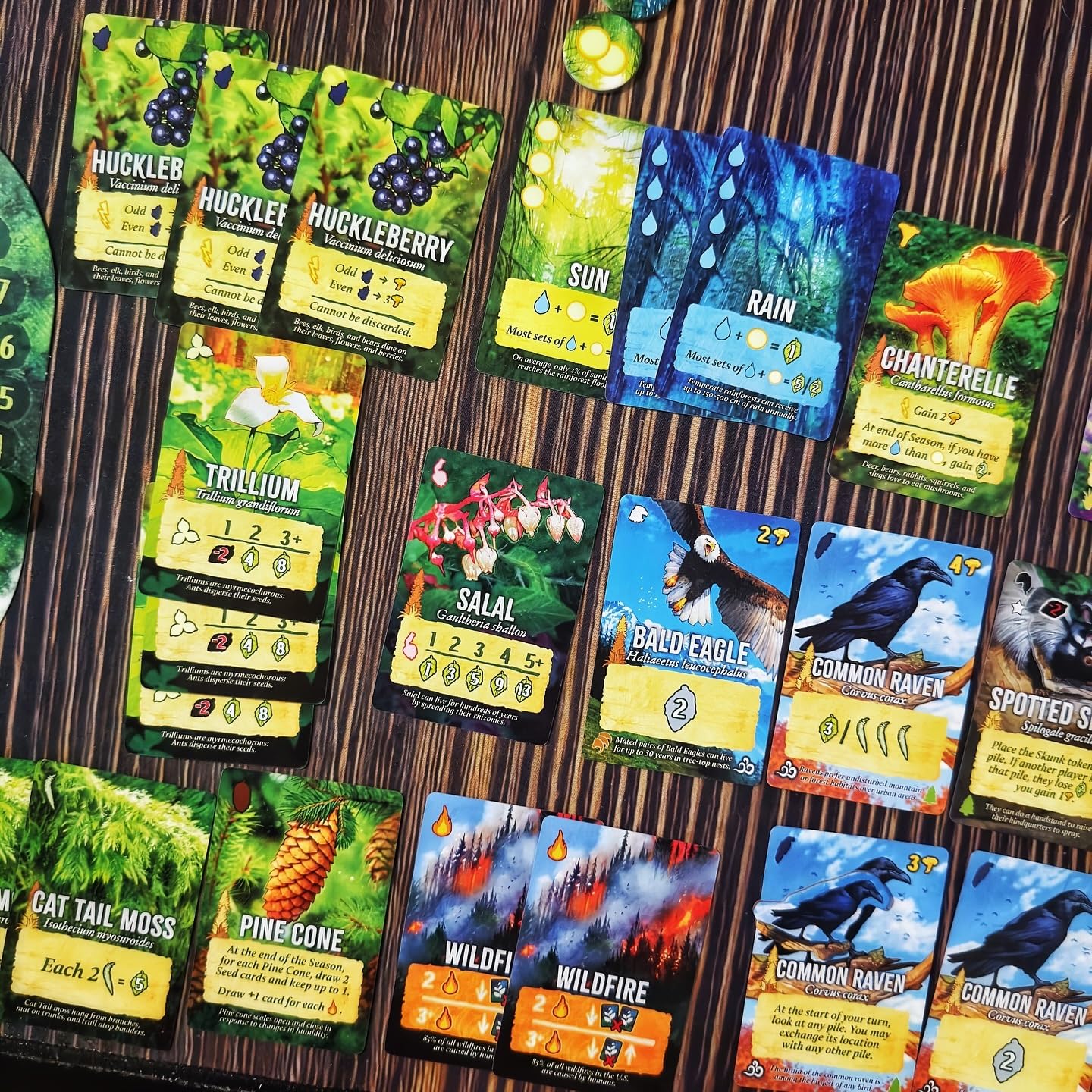 Weird City Games Canopy Evergreen - Strategy Board Game - for 1 to 4 Players and Ages 10+