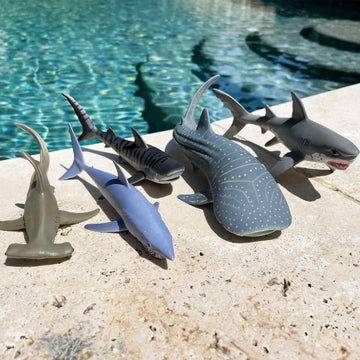 Safari Ltd. Shark Toy Set - Figurines of Great White, Tiger, Whale Shark, Hammerhead, and Mako - Play Set for Boys, Girls & Kids 3+
