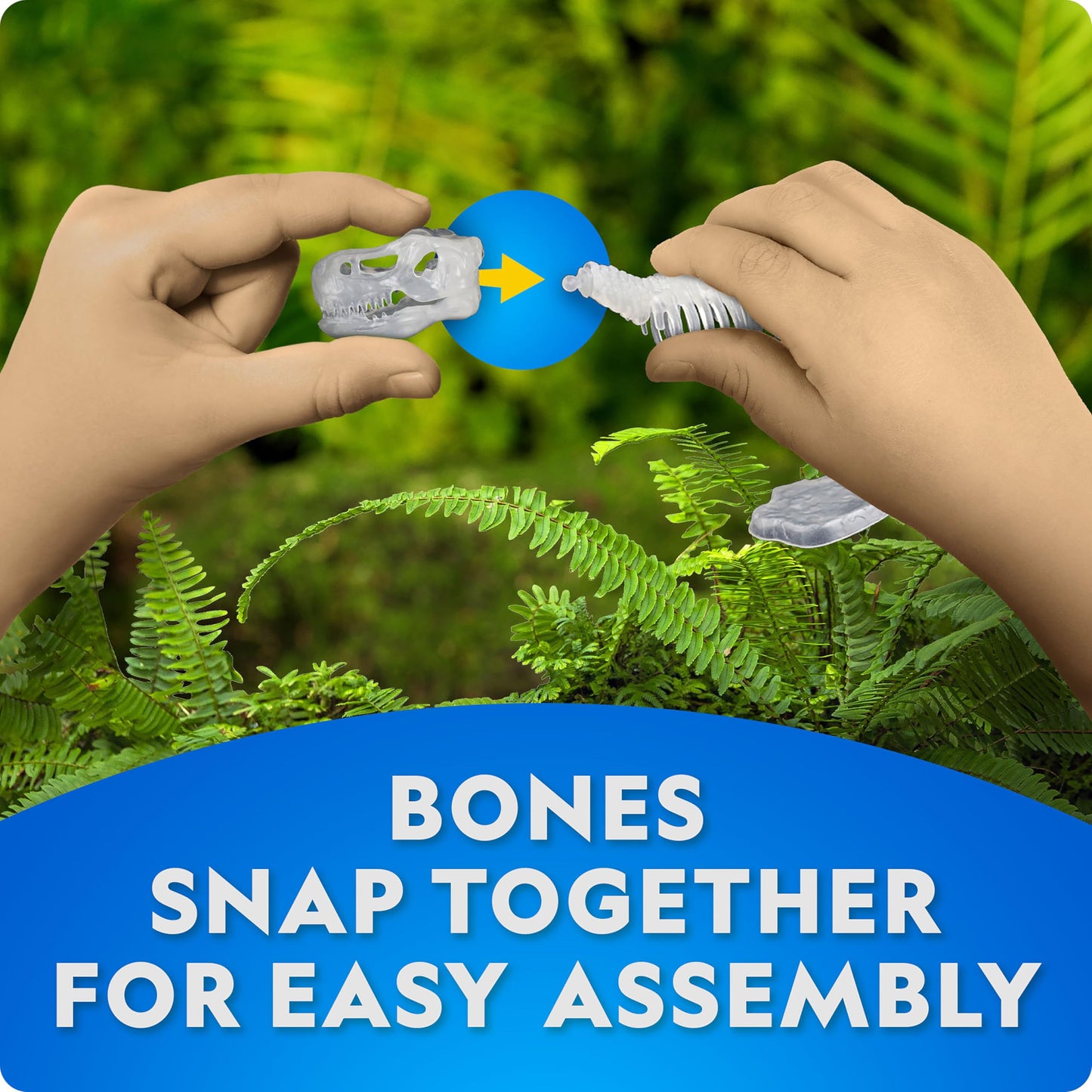 National Geographic Glow-in-the-Dark Dinosaur Skeleton Model Building Kit