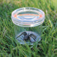 Educational Insights GeoSafari Bug Viewer, Catch & Watch Bugs, Outdoor Play For Ages 4+