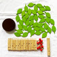 Carykon Early Childhood Building Blocks Wooden Assembling Tree Combination Boys and Girls DIY Disassembly Puzzles Educational Toys Home Office