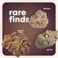 Dan&Darci Rock Collection for Kids - Includes 250+ Bulk Rocks, Gemstones & Crystals + Genuine Fossils and Minerals - 2 Lbs. - Geology Earth Science