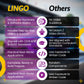LINGO in The Fast Lane STEM Coding Kit - Build, Code & Learn the Technology of a Race Car - Learn Coding with Step-by-Step Guides - STEM Projects