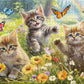 Ceaco - Kittens in the Meadow - 1000 Large Piece Jigsaw Puzzle for Adults