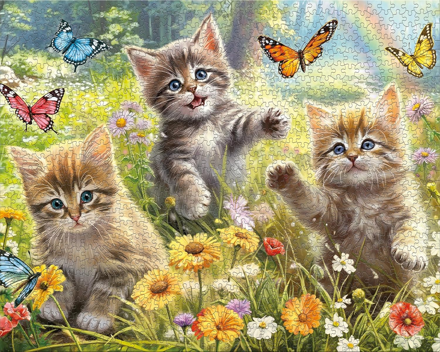 Ceaco - Kittens in the Meadow - 1000 Large Piece Jigsaw Puzzle for Adults