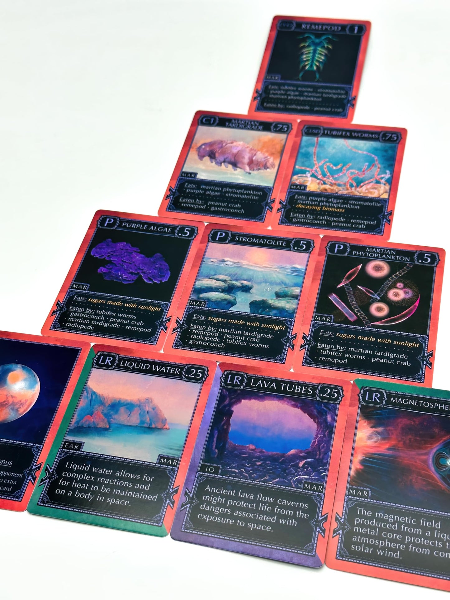 Montrose Biology Ecologies: Solar System - Explore Astrobiology in Our Solar System - Use Science to Build Food Webs in Space - Beautiful Scientific