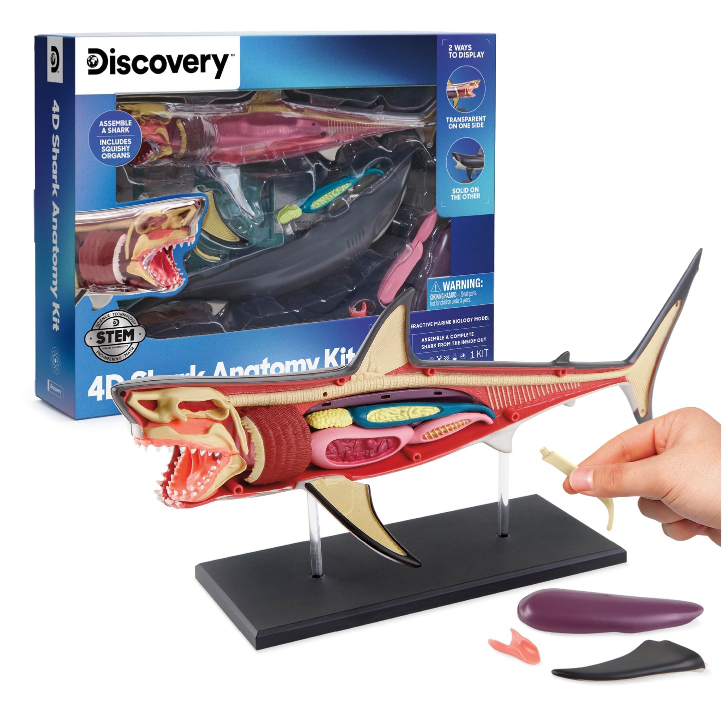 Discovery™ 4D Shark Anatomy Kit| Interactive Model Building Set with Display Stand| STEM Biology Science Kit| Fun Activity Puzzle| Ocean Sea Creature