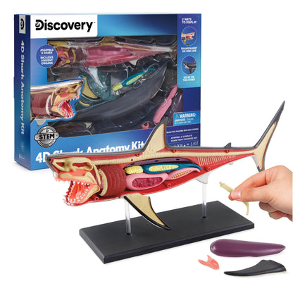Discovery™ 4D Shark Anatomy Kit| Interactive Model Building Set with Display Stand| STEM Biology Science Kit| Fun Activity Puzzle| Ocean Sea Creature