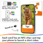 ABC Memory Matching Game for Kids | NFC Cards Interact with App | Tap to Explore Letters, Sounds & Real-World Videos | Preschool Alphabet Learning