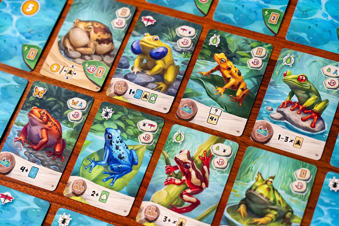 Capstone Games Pondscape - Strategy Card Game for Adults & Teens - 2 Player or More - Asymmetrical, Mystery, Role-Based & Thematic Card Game for Game