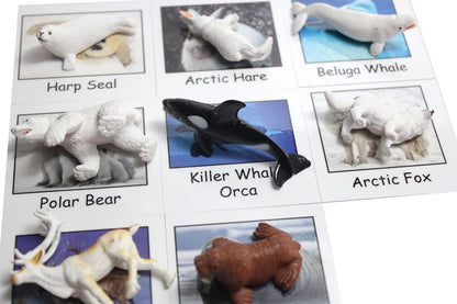 Montessori Arctic Polar Animal Match - Miniature Arctic Animal Toy Figurines with Matching Cards - 2 Part Cards. Montessori Learning Toy, Language
