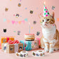 DSjuedui Birthday Cat Sticker Rolls - 1000Pcs Happy Birthday Cute Cat Vinyl Stickers for Kids Adults, Funny Realistic Kitty Waterproof Decals