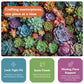 Cross & Glory | 1000 Piece Jigsaw Puzzles for Adults | Succulent Symphony
