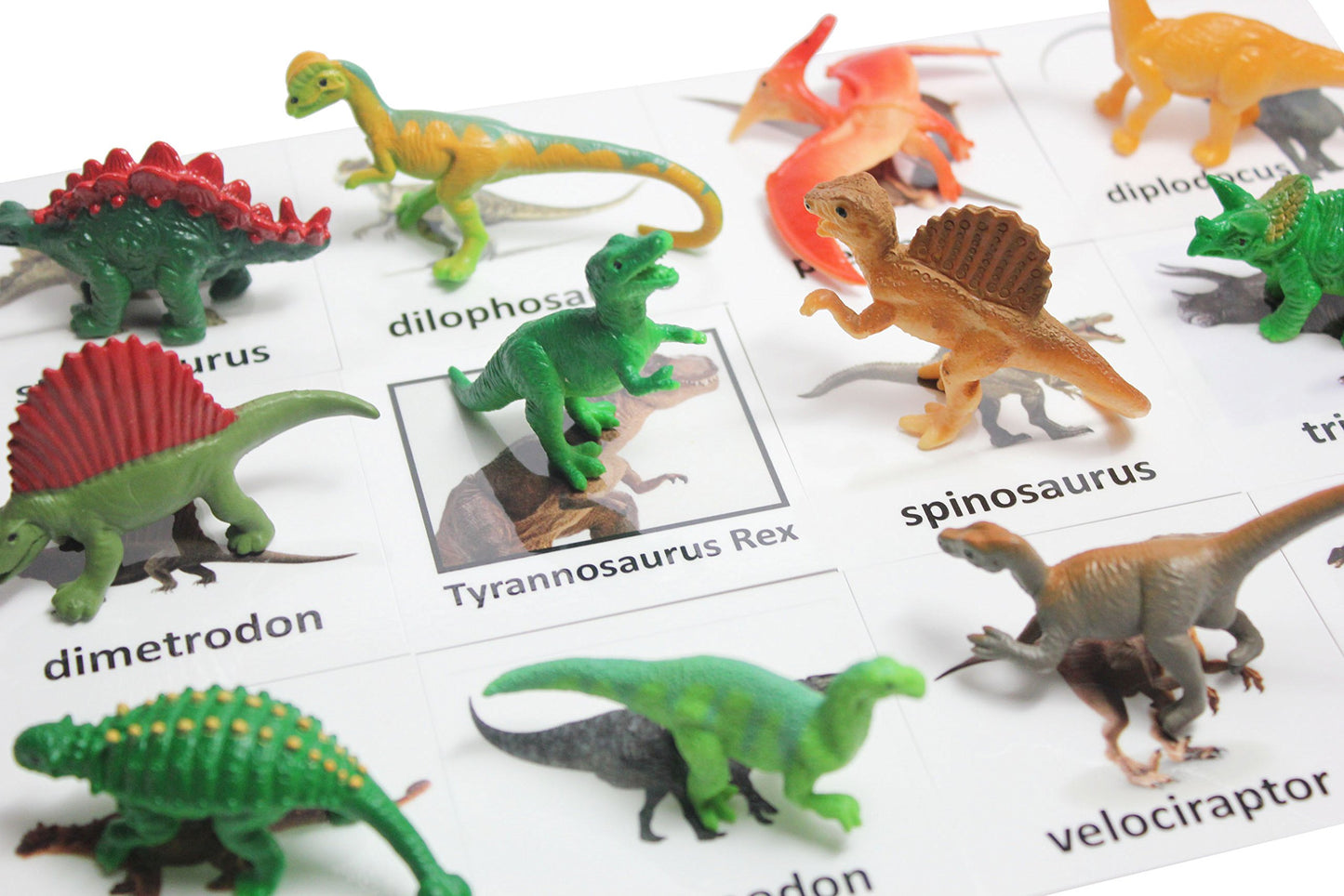Curious Minds Busy Bags Montessori Dinosaur Figure Animal Match - Miniature Dino Figurines with Matching Cards - 2 Part Cards. Montessori Learning