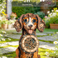 3D Wooden Puzzles for Adults, Dachshund Clock with Pendulum Model Kit, 3D Puzzles for Adults Room Home Decor DIY Wall Clock Kit, Holiday Birthday