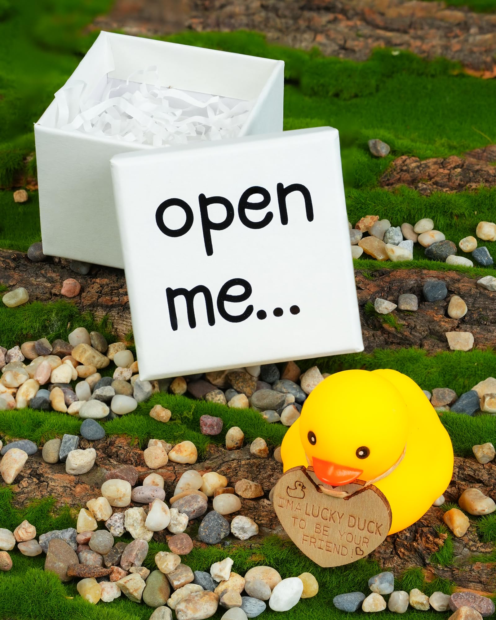 “Friend You Quack Me Up” Mini Rubber Duck - Fun Animal Gift - Adorable Duck Lover's Present, Humorous Novelty Gift Box.