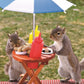 Springbok Squirrel Feeder 350 Piece Jigsaw Puzzle for Families