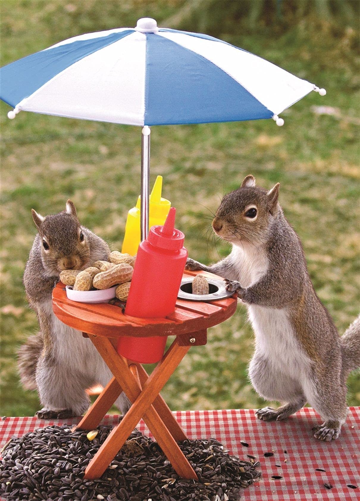 Springbok Squirrel Feeder 350 Piece Jigsaw Puzzle for Families
