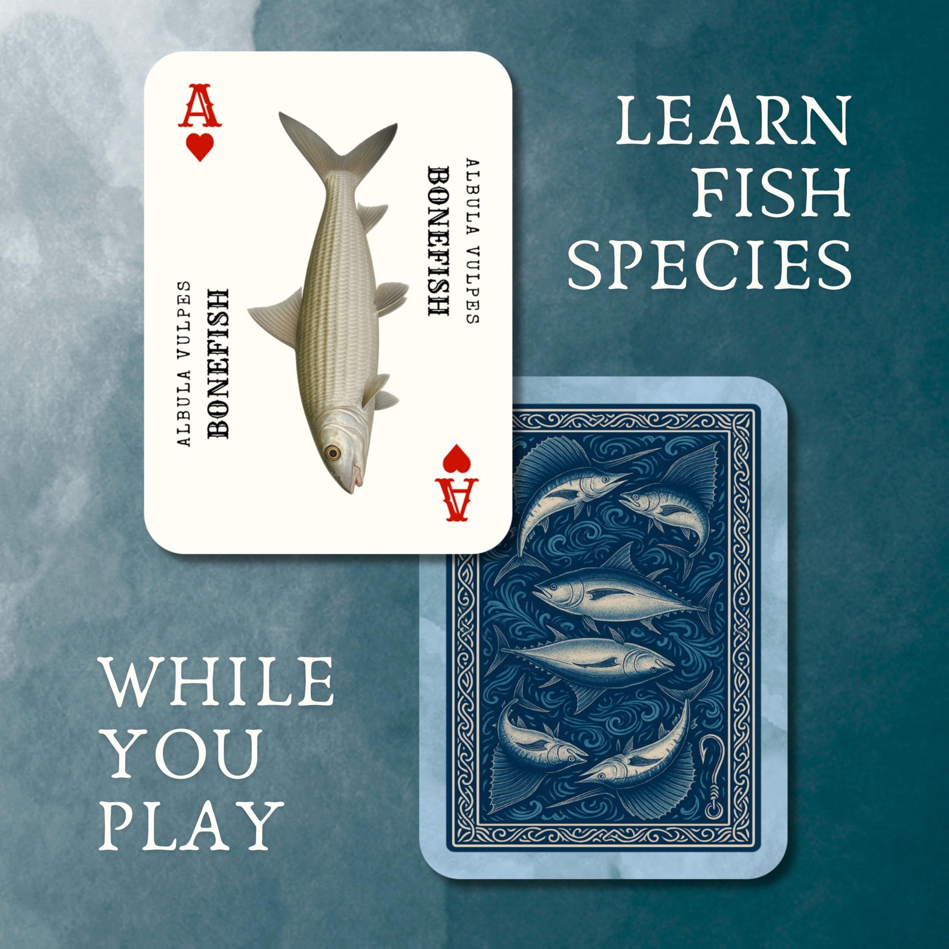 Saltwater Fish Plastic Playing Cards: Waterproof, Learn 52 Species While You Play; the Ultimate Fishing Gear Addition, Fits in Any Fishing Tackle Box