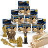 Egyptian Mummy Dig Kit - Ancient Egypt Excavation Set for Kids, STEM Science Educational Toys, 6 Collectible Styles, Archaeology Gifts for Boys Age