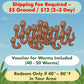 ES EVVIVA SCIENCES Worm Habitat Kit - Transparent Ecosystem Learning Container for Worm Observation and Soil Layer Studies - Composting Science