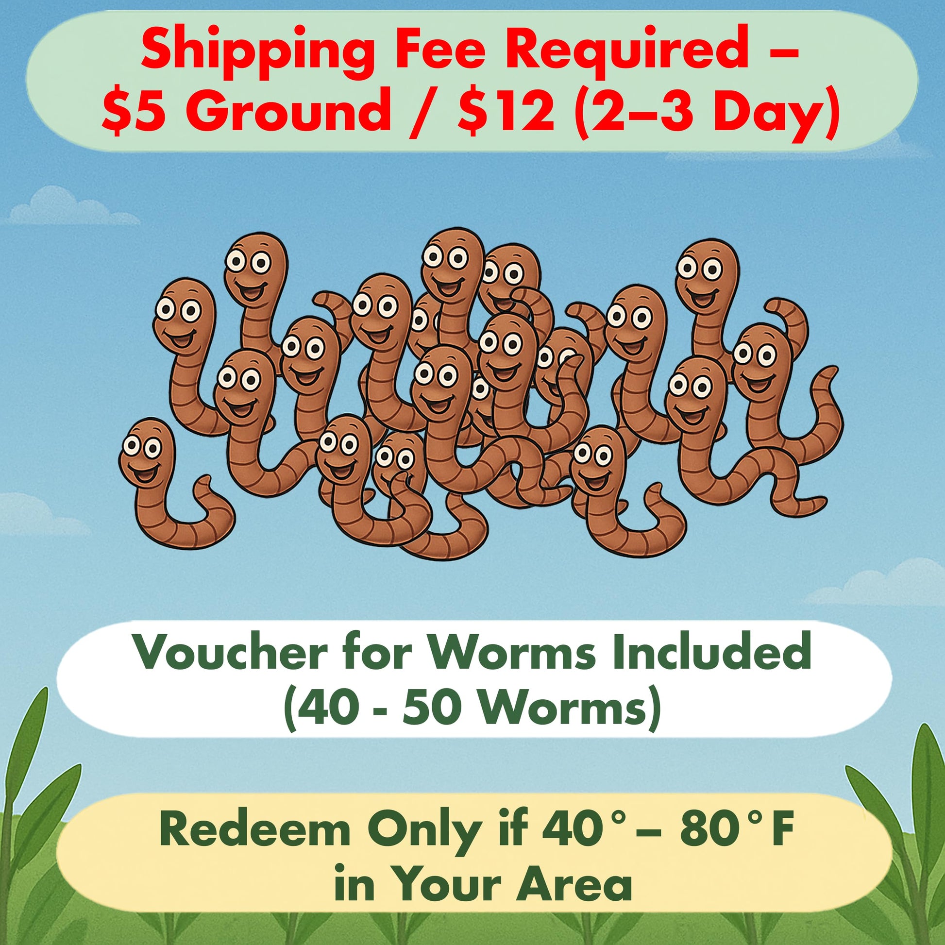 ES EVVIVA SCIENCES Worm Habitat Kit - Transparent Ecosystem Learning Container for Worm Observation and Soil Layer Studies - Composting Science