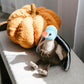 The Petting Zoo Turkey Stuffed Animal Plushie, Gifts for Kids, Wild Onez Wildlife Animals, Turkey Plush Toy 9 inches