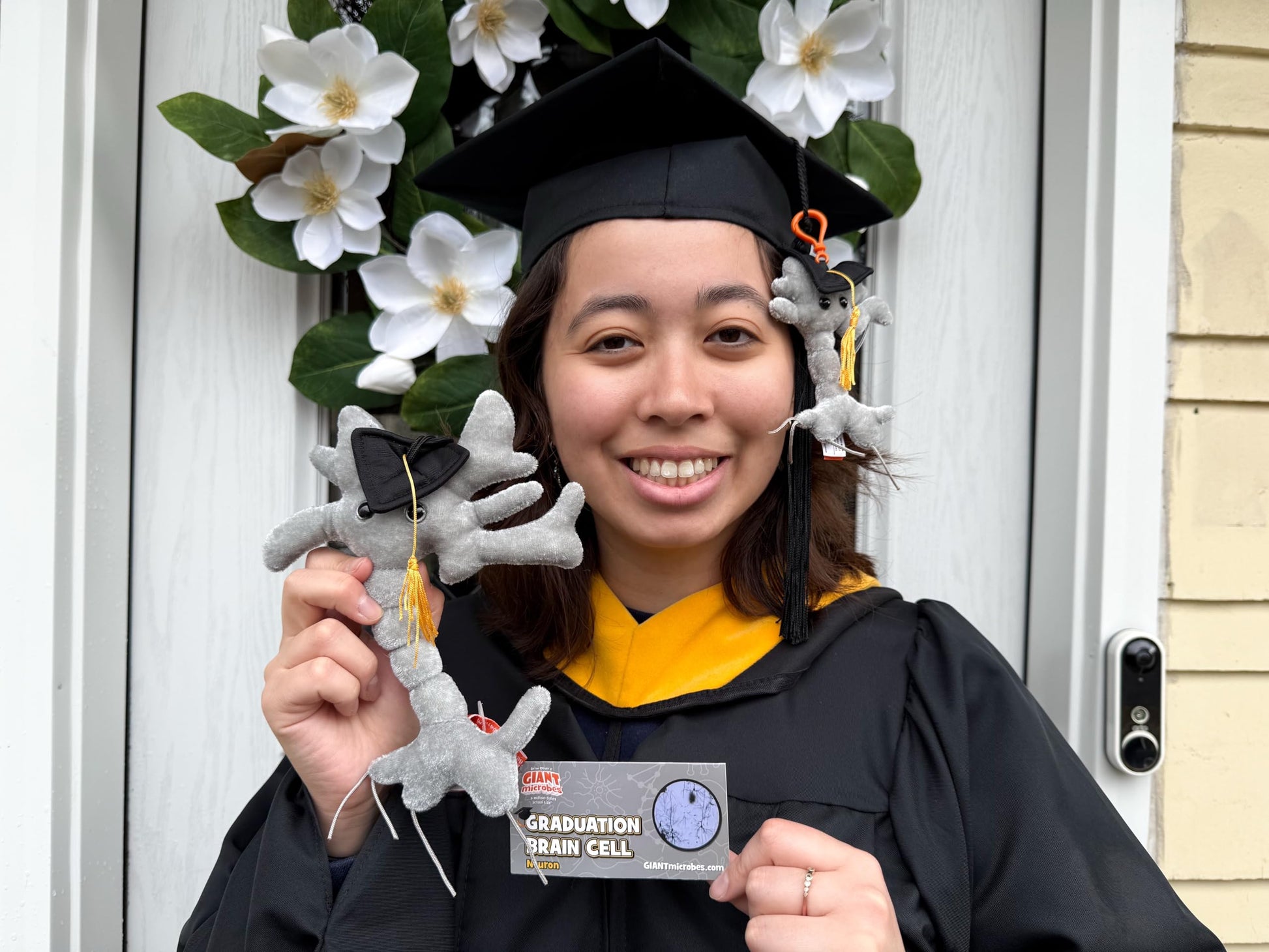 GIANTmicrobes Graduation Brain Cell Plush - Celebrate with our signature Brain Cell plush donning a graduation cap and tassel, Uniquely Fun Student
