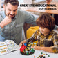mesproud Ideas Insect Collection Toys, Bug Building Set with Life-Size Blue Morpho Butterfly, Hercules Beetle, Dragonfly and Chinese Mantis Display
