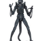 NECA - Alien- 7" Scale Action Figures - Ultimate Warrior - (1986) Blue Alien