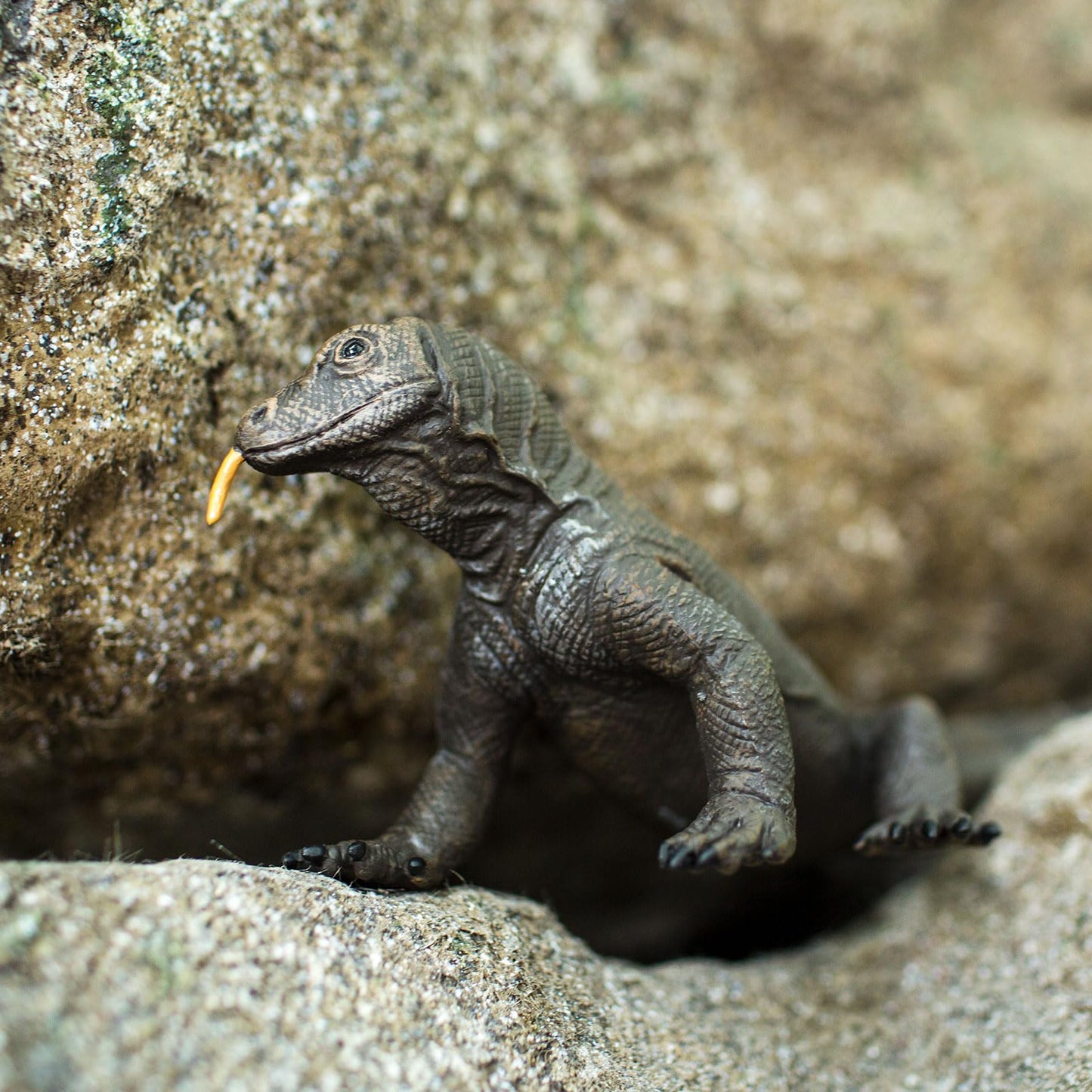 Safari Ltd. Komodo Dragon Figurine - Realistic 11" Model Figure - Educational Toy for Boys, Girls, and Kids Ages 3+