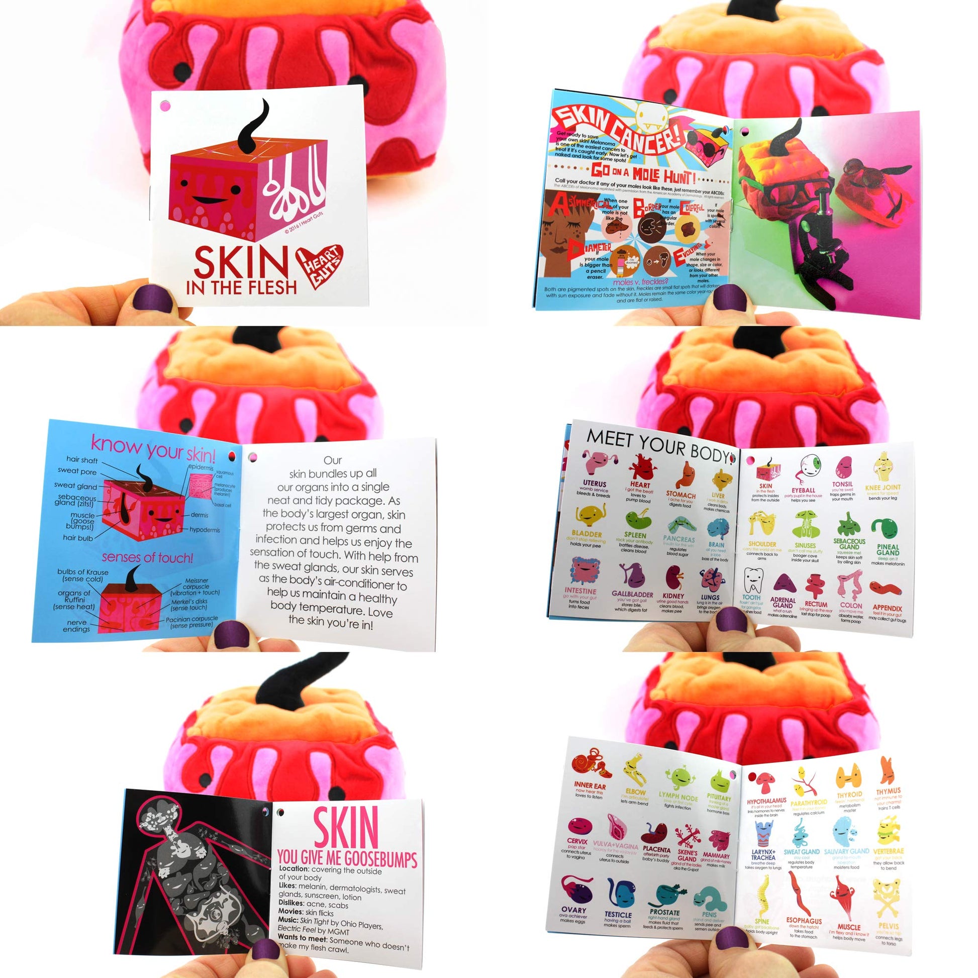 I Heart Guts Skin Plush - 9" Cute Educational Body Tissue Toy for Dermatology & Eczema - Funny Get Well Gift for Nurse Patients & Medical Student STEM
