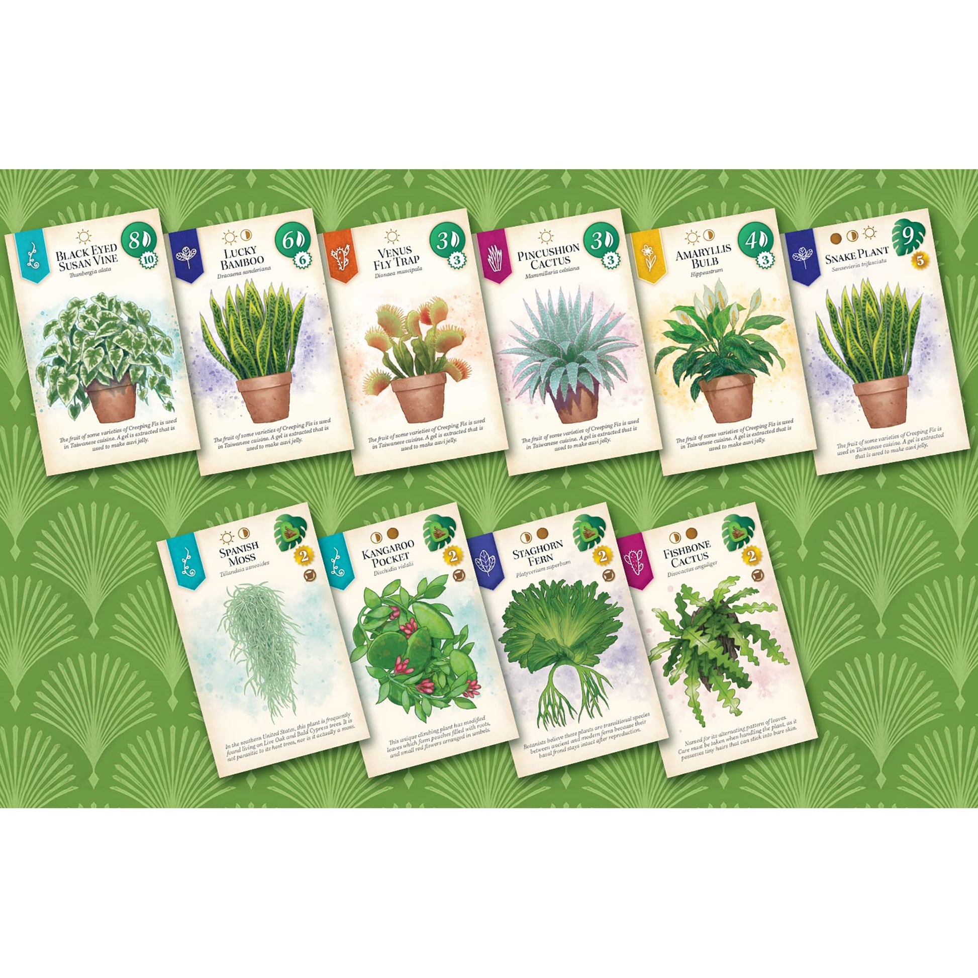 AEG & Flatout Games | Verdant - A Board Game for the Houseplant Collector | From the Creators of Cascadia | Easy to Learn | Quick to Play | Ages 10+ |