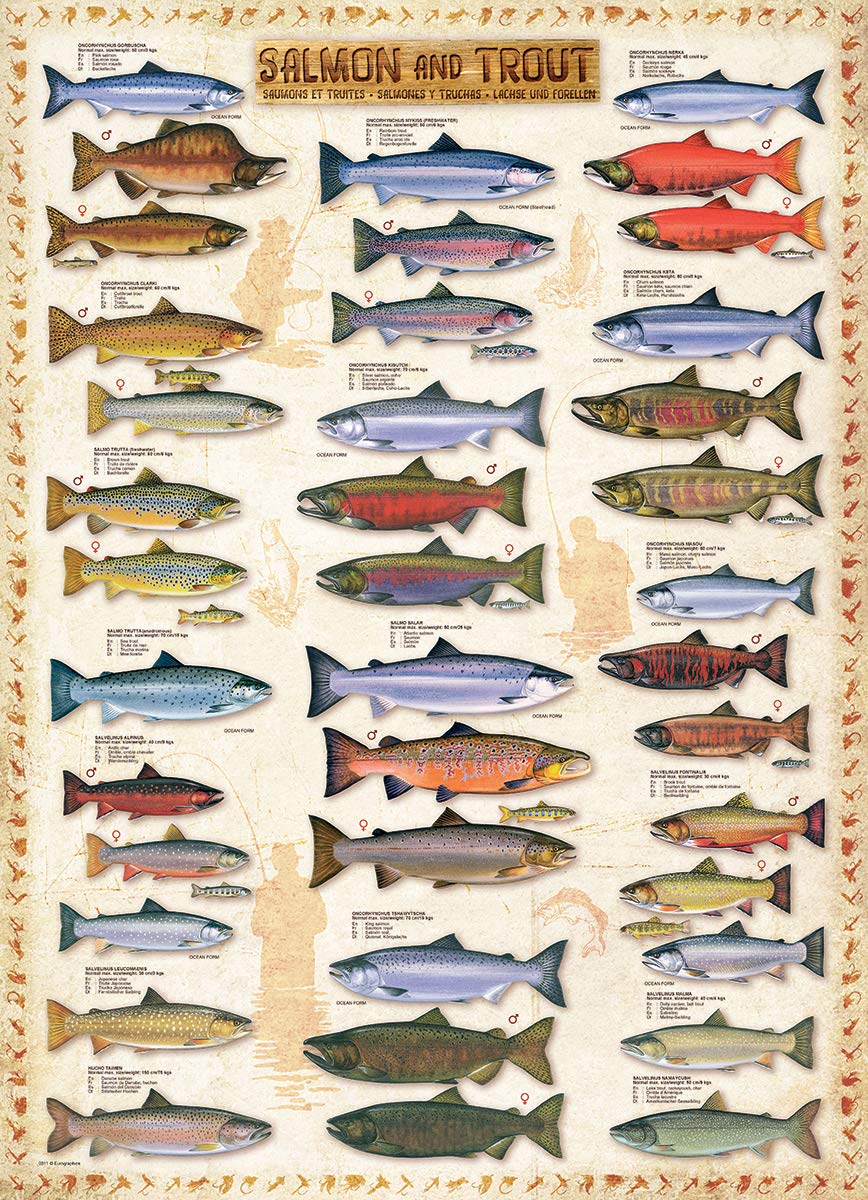 Eurographics Salmon and Trout 1000-Piece Puzzle