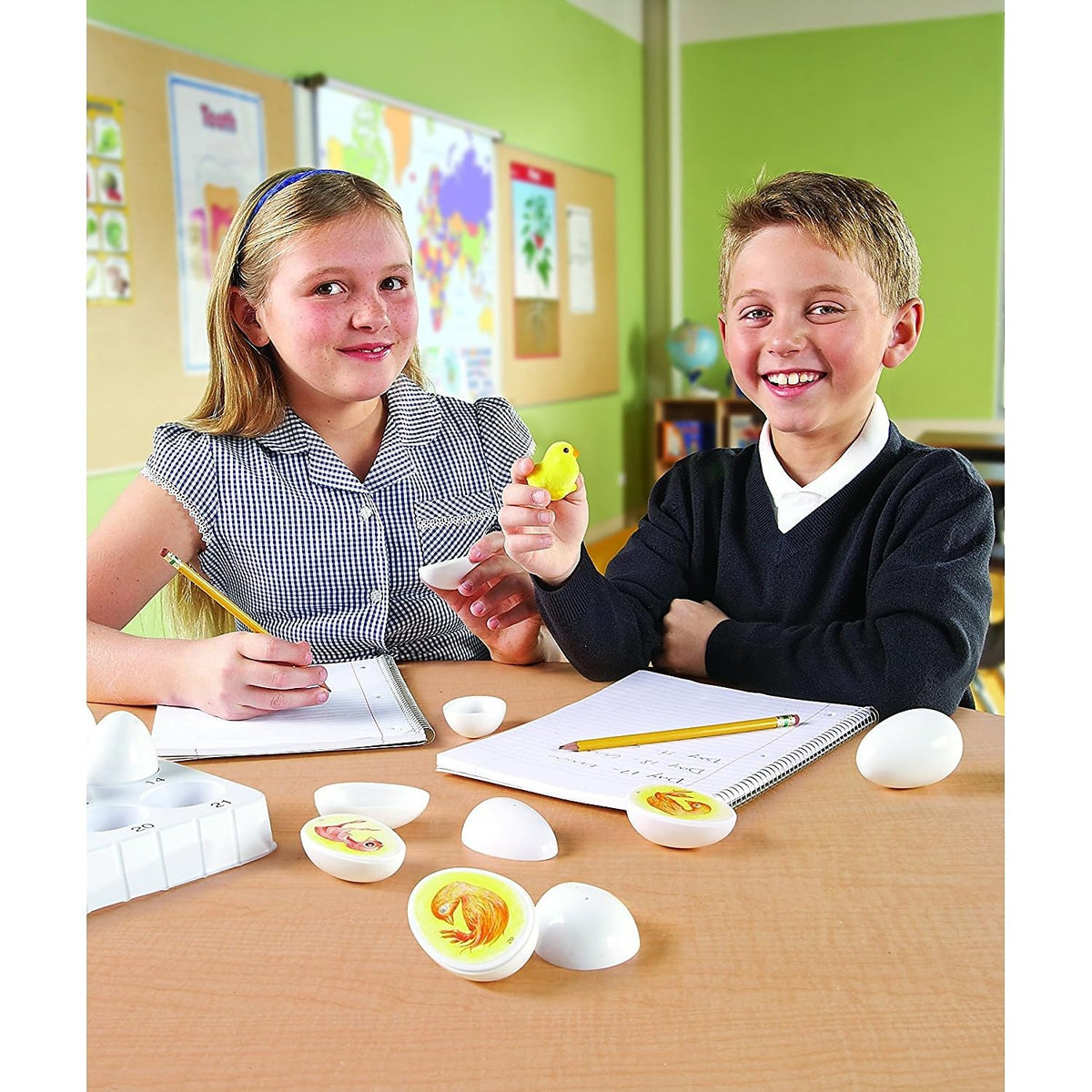 Learning Resources Chick Life Cycle Exploration Set