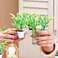 2Pcs Green Miniature Plants Dollhouse Decoration Accessories, Mini Potted Plant Artificial Tiny Greenery Ornament Miniature Hanging Potted Plant Faux