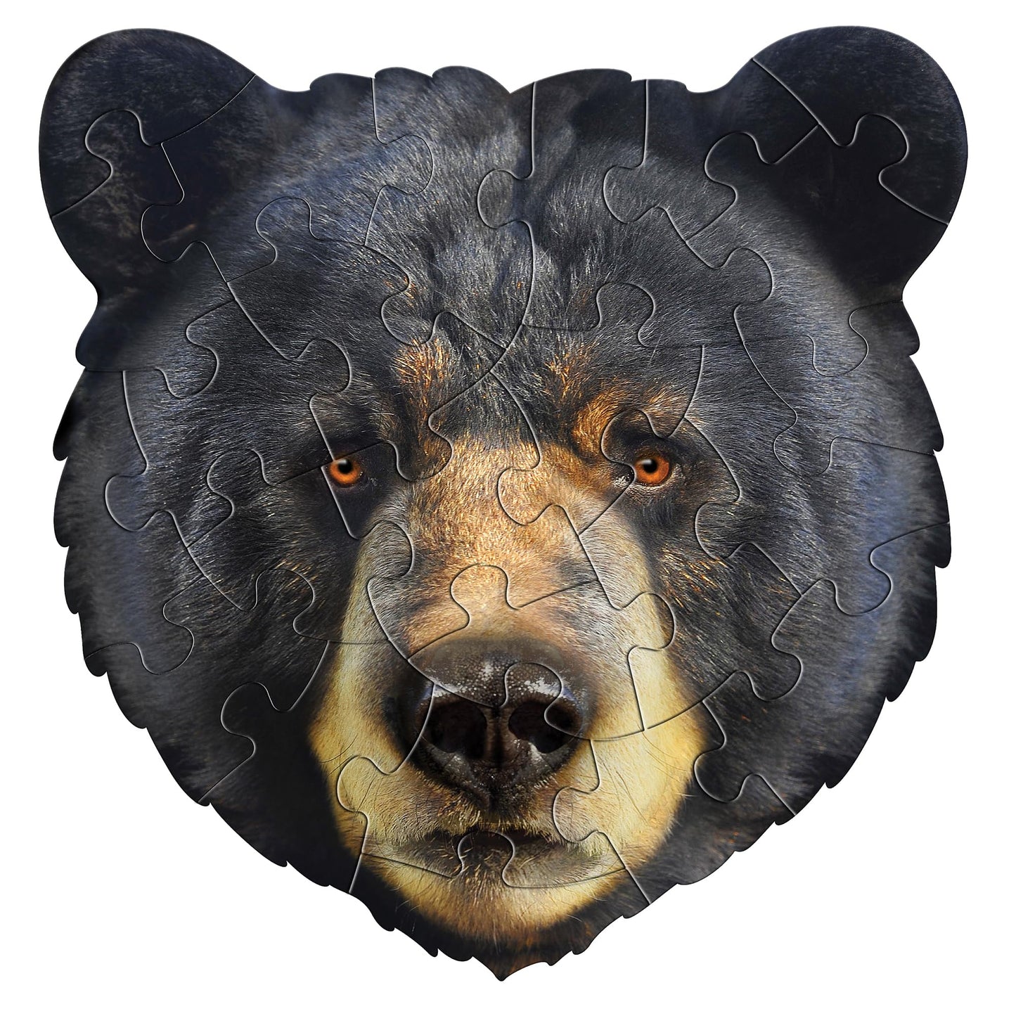 I Am Bear 24 Puzzle: 24-Pieces