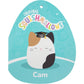 Squishmallows Original 12in Cam The Calico Cat in Graduation Cap - Official Jazwares Plush (Medium-Sized)