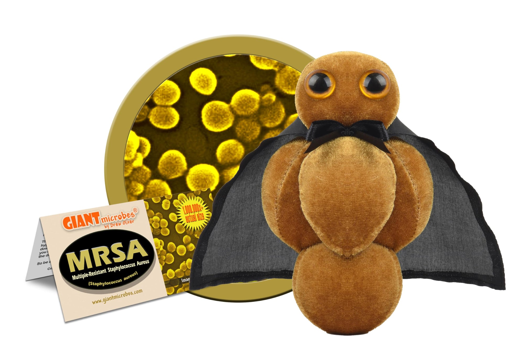 GIANT MICROBES MRSA Plush, Public Health, Science Teacher Gifts, Pharmacists Gifts, Infectious Disease Doctor Gift, Nurse Practitioner, Virus Plush