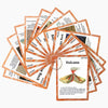 Geography Flash Card Set(15 Pcs)| Science Learning Cards Perfect for Back to School Supplies, Elementary Teacher/Autism Therapists Geology Tools |