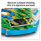 LEGO Editions Vini Jr. - Soccer Highlights - Building Set for Boys & Girls, Ages 10+ - Collectible Soccer Gift W/Plaque - Kids Bedroom or Shelf Decor