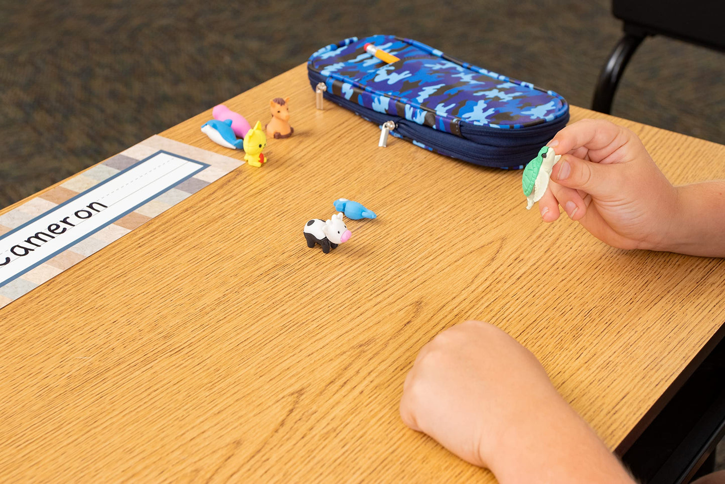 Teacher Created Resources Desk Pets - Animal Friends (40 Pack)